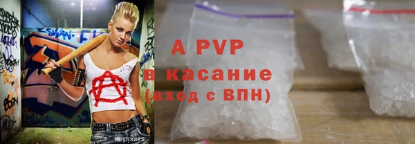 индика Новокубанск