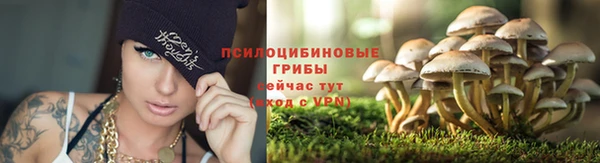 индика Новокубанск