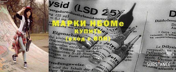 индика Новокубанск
