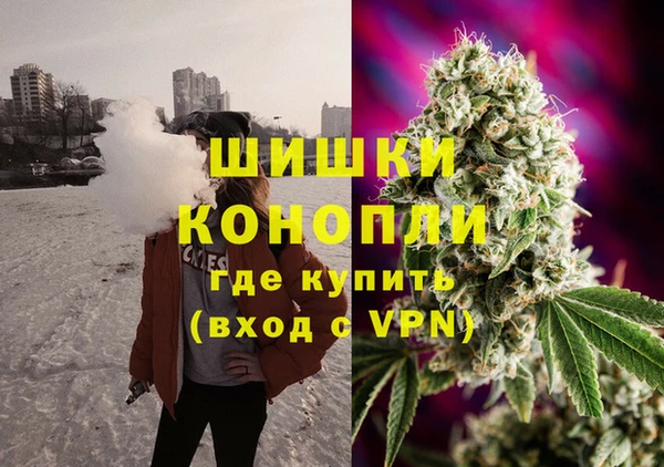 индика Новокубанск