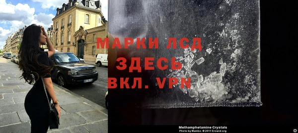 индика Новокубанск
