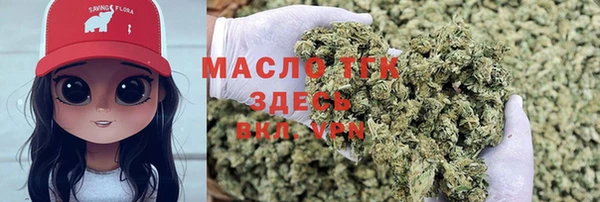 индика Новокубанск