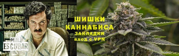 индика Новокубанск