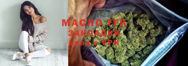 индика Новокубанск