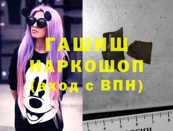 индика Новокубанск