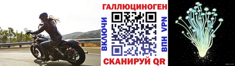 даркнет телеграм  Руза  Псилоцибиновые грибы мухоморы 
